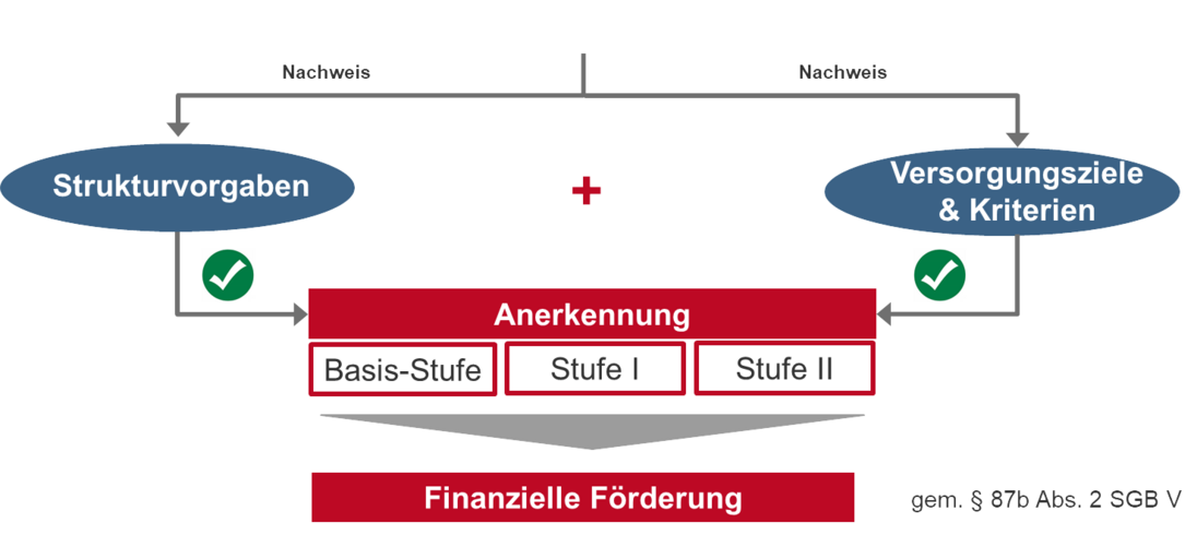 Das Bild zeigt die drei Anerkennungsstufen für ein Praxisnetz.